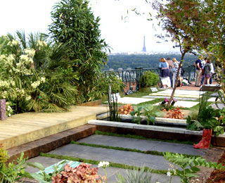 IN SITU
